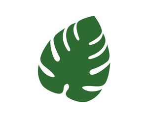 monstera leaf vector © Hanny