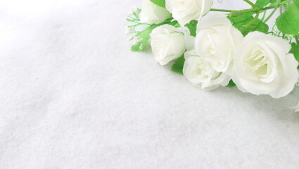 エレガントな白い薔薇の花余白コピースペース背景素材余白コピースペース