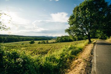 Via Degli Dei hiking trail in Italy. from Bologna to Florence. Ancient Roman path