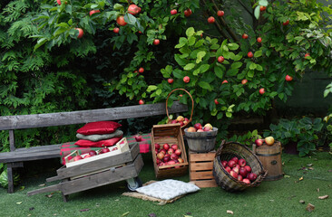 basket with flowers and apples