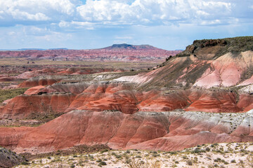 Badlands at Petrified Forrest in Arizona
