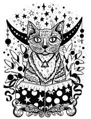 Hand drawn vector illustration with cat sitting in gifting box, moon, conifer branches and stars on white. Esoteric, gothic and mystic object or element. Halloween and New Year concept. 