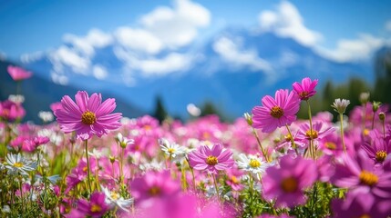 Vibrant flowers in a scenic mountain landscape.