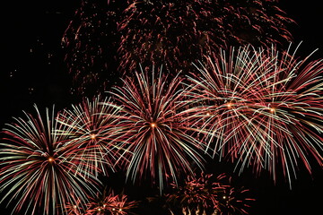 Obraz premium fireworks in the night