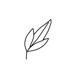 leaf line art icon