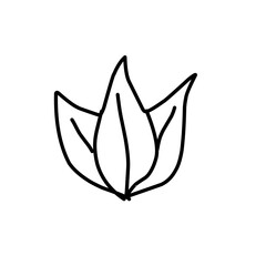 leaf line art icon