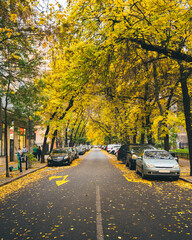 złota polska jesień w miejskim krajobrazie. Piękna uliczka w centrum Warszawy wczesną&nbsp;jesienią