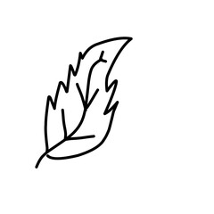 leaf line art icon
