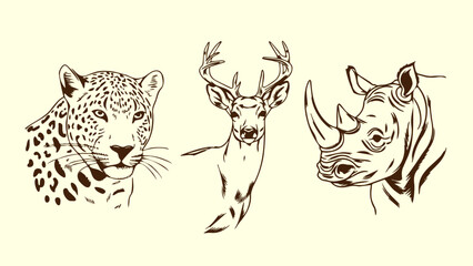 Set of hand drawn wild animals deer rhino and leopard on white background. Vector illustration.