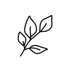 leaf line art icon