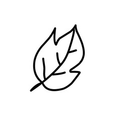 leaf line art icon