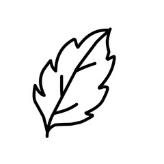 leaf line art icon