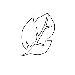 leaf line art icon
