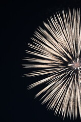 日本の花火　Fireworks