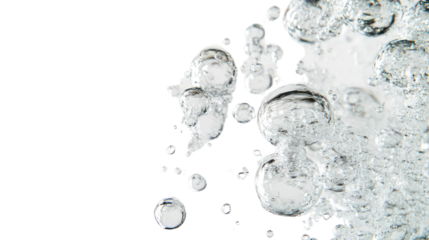 Water bubbles on a white transparent background