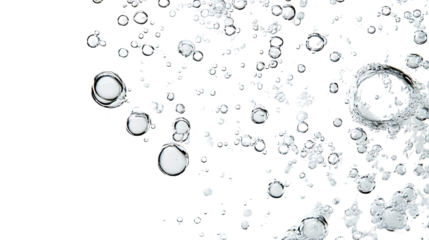 Water bubbles on a white transparent background