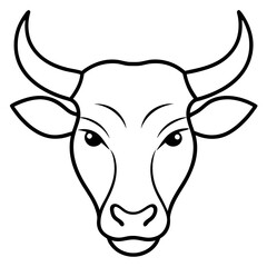 head of bull