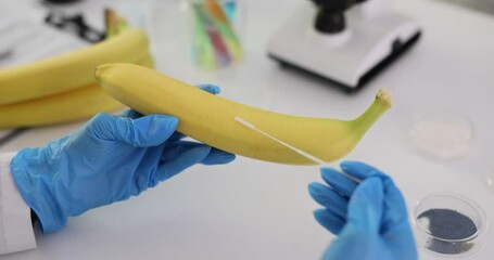 Laboratory technician tests banana in a laboratory setting - Powered by Adobe