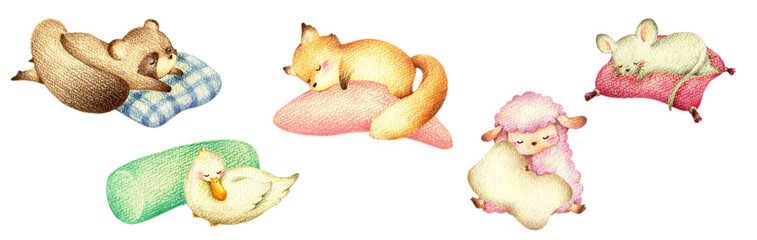 Fototapeta premium 枕で眠る動物たちのセット2 手描き色鉛筆画