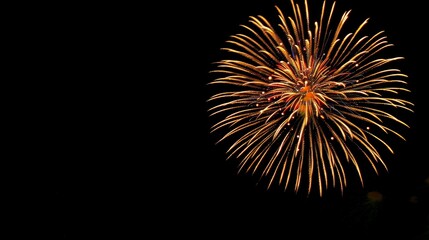 Vibrant Fireworks Display in Night Sky