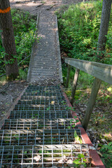Forest walk with wooden bridge and metal steps