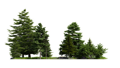forest various tree, grass and plant, flat ground, isolated transparent background