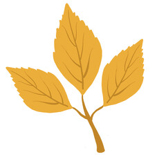 leaf illustration isolated tranparant elements