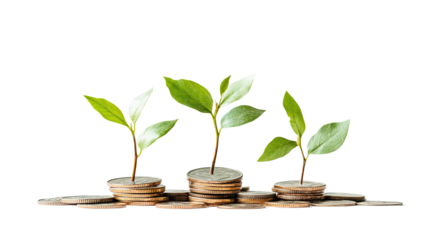 increase revenue on a white transparent background