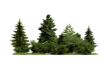 forest various tree, grass and plant, flat ground, isolated transparent background
