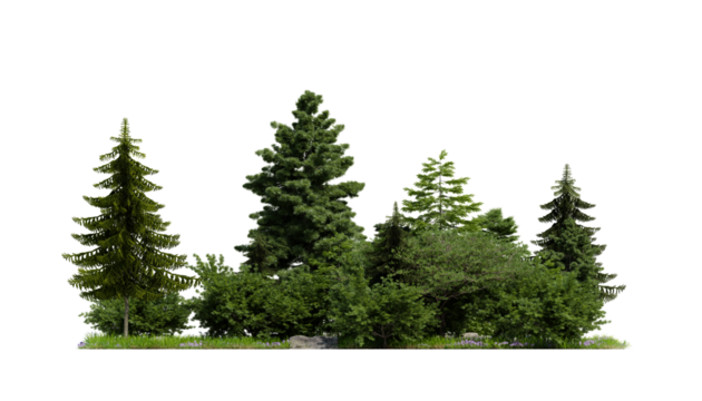 forest various tree, grass and plant, flat ground, isolated transparent background
