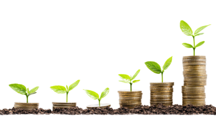 increase revenue on a white transparent background