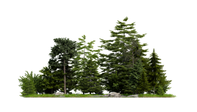 forest various tree, grass and plant, flat ground, isolated transparent background