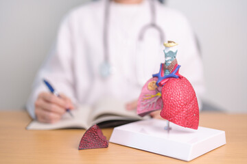 Doctor with Smoker and normal Lung anatomy for Disease. Lung Cancer, Asthma, Chronic Obstructive...