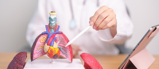 Doctor point Lung anatomy for Disease. Lung Cancer, Asthma, Chronic Obstructive Pulmonary or COPD, Bronchitis, Emphysema, Cystic Fibrosis, Bronchiectasis, Pneumonia and September world Lung day