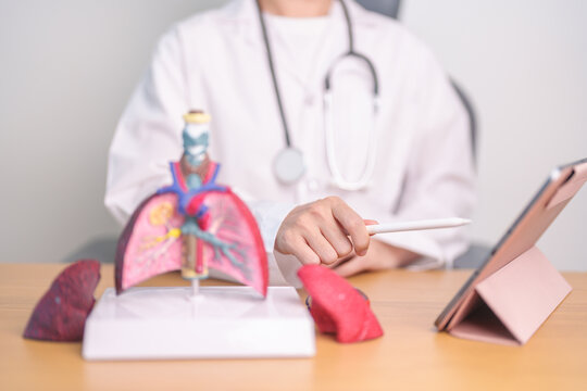 Doctor with Smoker and normal Lung anatomy for Disease. Lung Cancer, Asthma, Chronic Obstructive Pulmonary or COPD, Bronchitis, Emphysema, Cystic Fibrosis, Bronchiectasis, Pneumonia and world Lung day