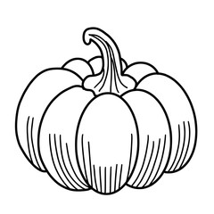 pumpkin isolated on white
