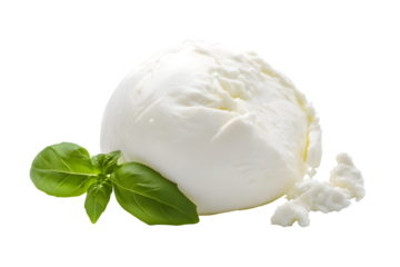 Mozzarella Burrata cheese with Basil leaves isolated on transparent background