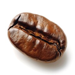 Realistic Photo of a Single Coffee Bean