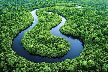 Aerial view of a serpentine river flowing through the heart of a vibrant rainforest, showcasing the awe-inspiring beauty and biodiversity of nature