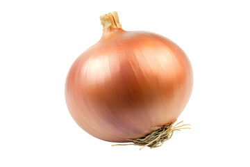 Onion isolated on transparent background
