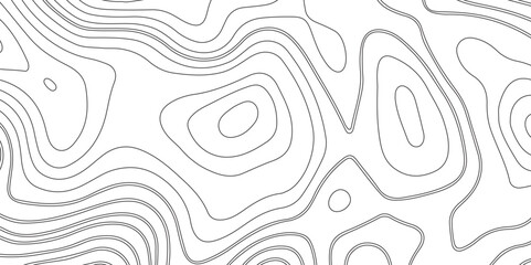 Abstract white topography geographic contour map background .topography white paper and black waves lines backdrop background .modern geographic contour map vector illustration .