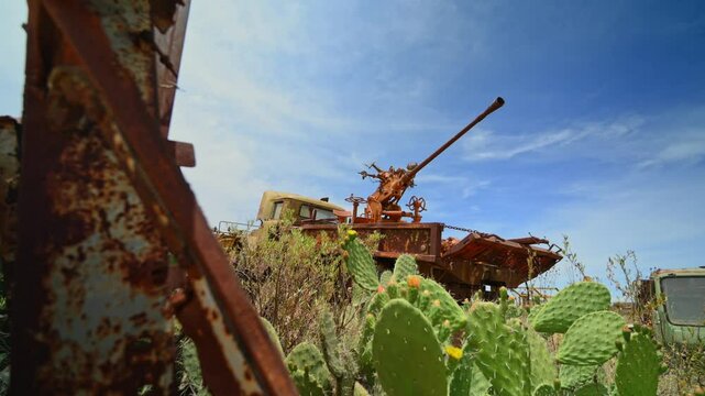 Flowers in Eritrean tank cemetery, Asmara in Eritrea. First-person walking