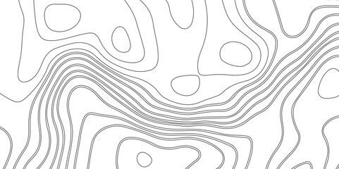 Abstract white topography geographic contour map background .topography white paper and black waves lines backdrop background .modern geographic contour map vector illustration .