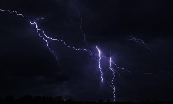 Lightning Strikes: A dramatic shot of lightning bolts illuminating the night sky with an electrifying display of nature's power.  The stark contrast of the dark clouds and bright flashes creates a sen
