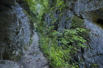 Hiking track in Kaiserklamm, Austria, Europe

