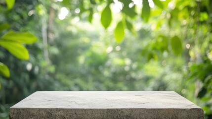 Fototapeta premium A serene stone surface surrounded by lush green foliage, perfect for showcasing nature-inspired designs or products.
