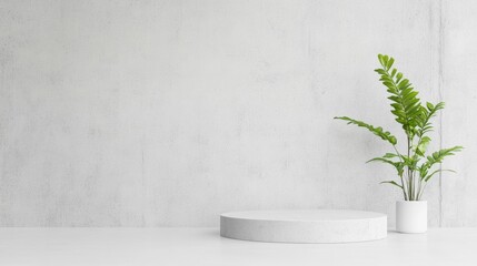 Minimalist interior featuring a plant and a round pedestal on a simple background, ideal for product displays and decor.