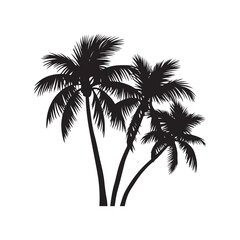 Palam tree silhouettes	
