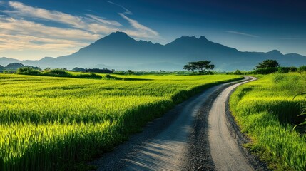 Fototapeta premium A scenic farm road meanders through the green barley fields of Gapado Island, with the majestic silhouettes of Mt. Sanbang and Mt. Halla in the background.
