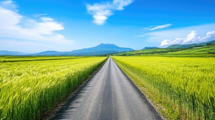 Fototapeta premium A serene farm road cutting through vibrant green barley fields on Gapado Island, with a backdrop of Mt. Sanbang and Mt. Halla under a bright, clear sky.